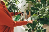 Gardening expert's warning to plant owners as temperatures rise in May