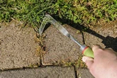 Autumn weeds warning Brits 'do not support the use of weedkillers'