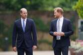 Princess Diana's friend says 'never' as he points out difference between William and Harry