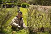 Gardening expert explains 'easy' task to do right now to make sure your lawn looks great in spring