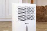 Debenhams slashes price of 'quiet' dehumidifier that 'clears out mould' by 46% off