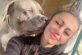 Woman brands police 'murderers' after they shoot her XL Bully