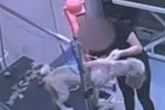 Dog groomer 'immediately dismissed' after owner watches 'heartbreaking' incident on CCTV