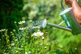 12 ways to manage your garden in a heatwave as weather to 'turn hot for many'