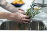 One common garden herb could help fight dementia and improve memory, study suggests