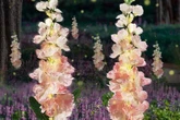Amazon fans praise 'peaceful' and 'pretty' solar garden lights that 'look like real flowers'