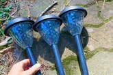 Solar lights will shine brighter and last longer if gardeners do this