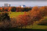 Beautiful autumn walk with adventure park and farmer's market that's worth the trip