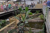 Major update from UK zoo after boy, 3, 'thrown in crocodile enclosure'