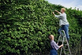 Monty Don shares 'decades of beauty' garden task that must be done in October