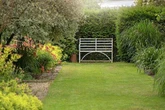 Gardener shares 'natural pest control' plant that 'every garden should have'