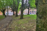New cafe opens in Birmingham beauty spot and there's more to it than meets the eye