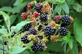 £300 warning to anyone visiting parks and countryside in September