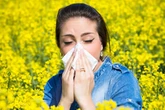 Avoid hay fever with simple hack using £2 household item