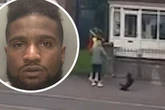 Neighbours' revenge on Birmingham thug who went viral for kicking dog