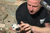 Firefighters spend 7 hours rescuing tiny kitten trapped down 13ft drop