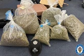 Three arrested after police raid Birmingham properties seizing £140k cash and cannabis