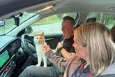 Scottish family's missing cat found in West Midlands after solo 300-mile trek