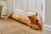 The 'cute' £16 Dunelm draught excluder that makes one fan 'smile every day'