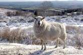 Deceptively easy Midlands walk 'through clouds' to 'best views you will see anywhere in England'