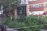 BREAKING - Updates as tree collapses on cars in Birmingham city centre