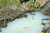 Riddle as Solihull lake turns into 'blue lagoon' amid pollution fear
