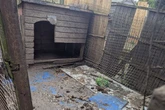 Shocking state of 'poo-covered' garden where woman kept dog tied-up without a bed