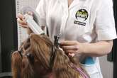 Dire school headlice warning as expert warns 'they're resistant'