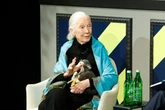 Chimpanzee expert Jane Goodall, 91, dies while on tour in US