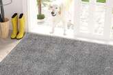 Amazon knocks 15% off 'super' doormat pet owners say 'traps dirt but stays looking clean'