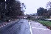 Full list of Birmingham roads blocked by trees as Storm Darragh injuries revealed