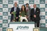 What do Crufts winners get? This is how much prize money they receive