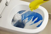 Most thankless household chores include cleaning toilets and taking out the bins