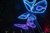 Birmingham Light Festival's 50 event line-up includes lantern parade and animated butterflies