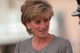 Rare picture of Princess Diana shared by Charles Spencer on poignant day