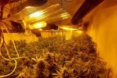 Inside £400k cannabis factory raided by Wolverhampton police