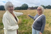 We went to 'eyesore' park where children 'can't play' because of waist high weeds