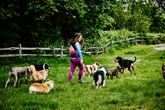 Health alert to anyone visiting parks as experts issue four symptoms of illness