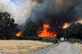 Fire in Sutton Park trapped visitors ‘putting lives at risk’ as brigade confirms cause