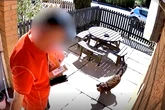 Moment Royal Mail postie kicks puppy in face before confrontation with owner