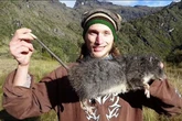 You thought Brum rodents were bad - but this terrifying 2.5ft long giant really is a 'rat as big as a cat'