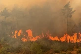UK tourists in Turkey must follow five rules as wildfires rage on