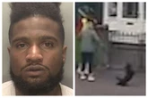 Vile Birmingham thug who booted dog in the air and strangled his own mother jailed