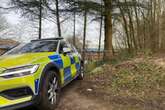 Police issue update after human remains found in woodland in 'unexplained death'