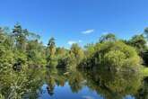 'Haven' woodland in Shropshire up for sale and it contains a hidden feature