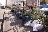 Bin men 'holding Birmingham to ransom' as garden waste move sparks anger