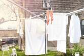 Amazon halves the price of the 'best washing line ever' and fans say 'if you know, you know'