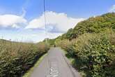 Police called in as 90 horses removed from farm over 'concern for welfare'