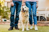 Dog owners urged to avoid growing two common plants in their garden