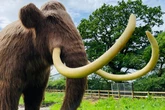 Wowcher selling Hoo Zoo family ticket for £29 instead of £64 in 'bargain' summer deal